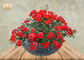 風化させた植物の鍋の庭の植木鉢の素焼鉢プランターFiberclay屋外プランター灰色色