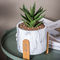 卓上のるつぼ用粘土の植木鉢が植木鉢に大理石模様をつける小型Succulentsプランターは鍋プランターをセメントで接合している
